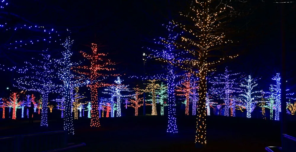 Christmas lights strung along a festive street at night